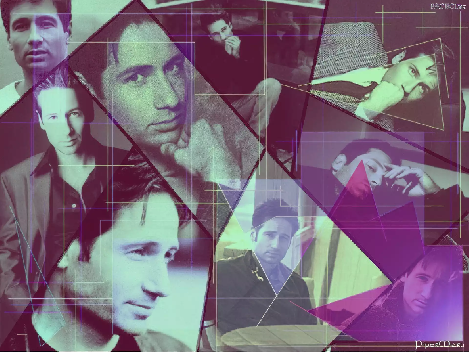 twarze, David Duchovny